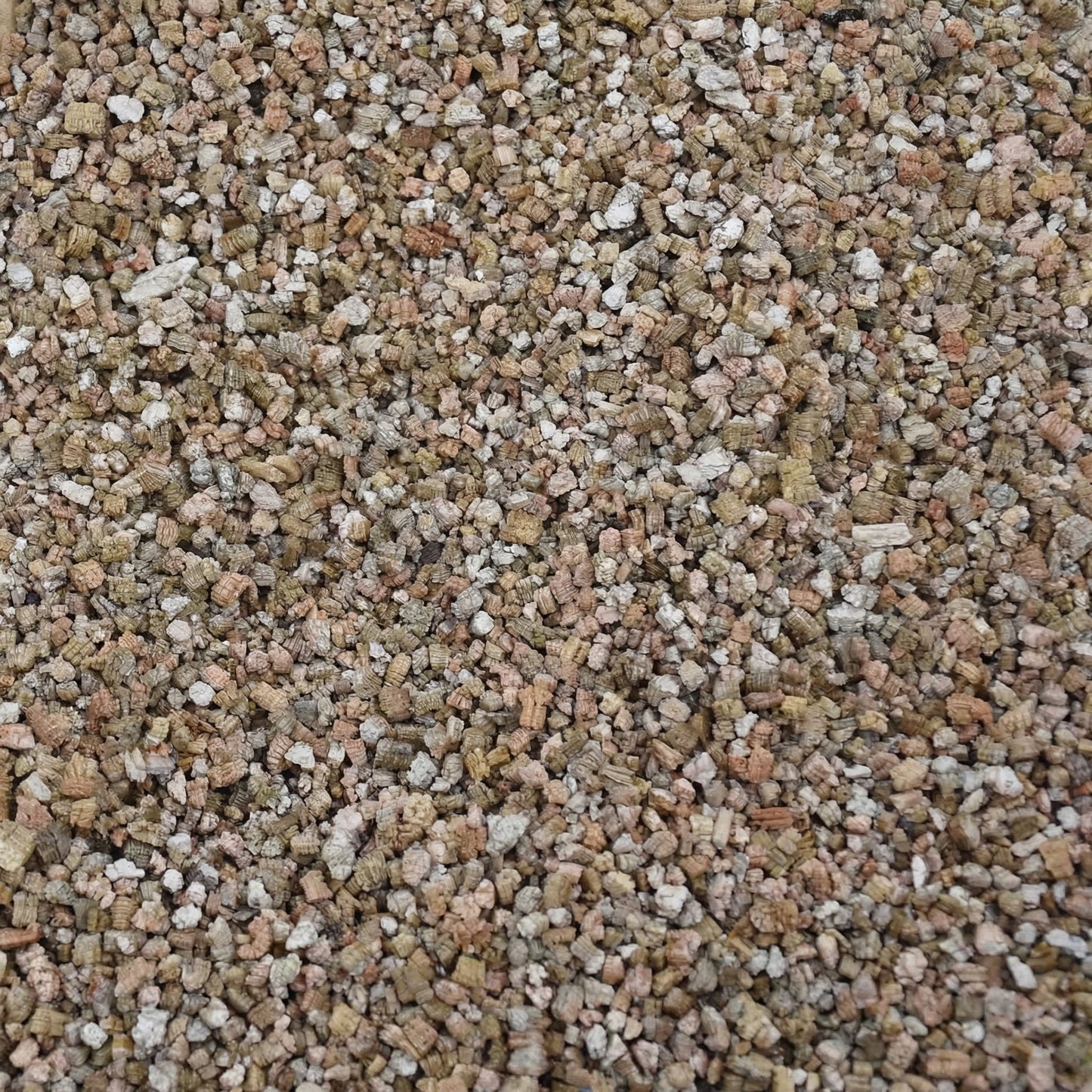 Vermiculite 1L - substrate