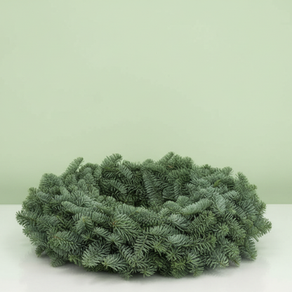 Corona de Abeto Nobilis