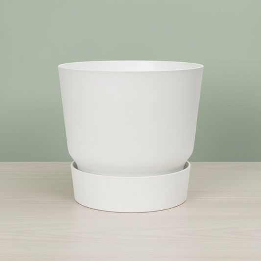 White Planter with Saucer