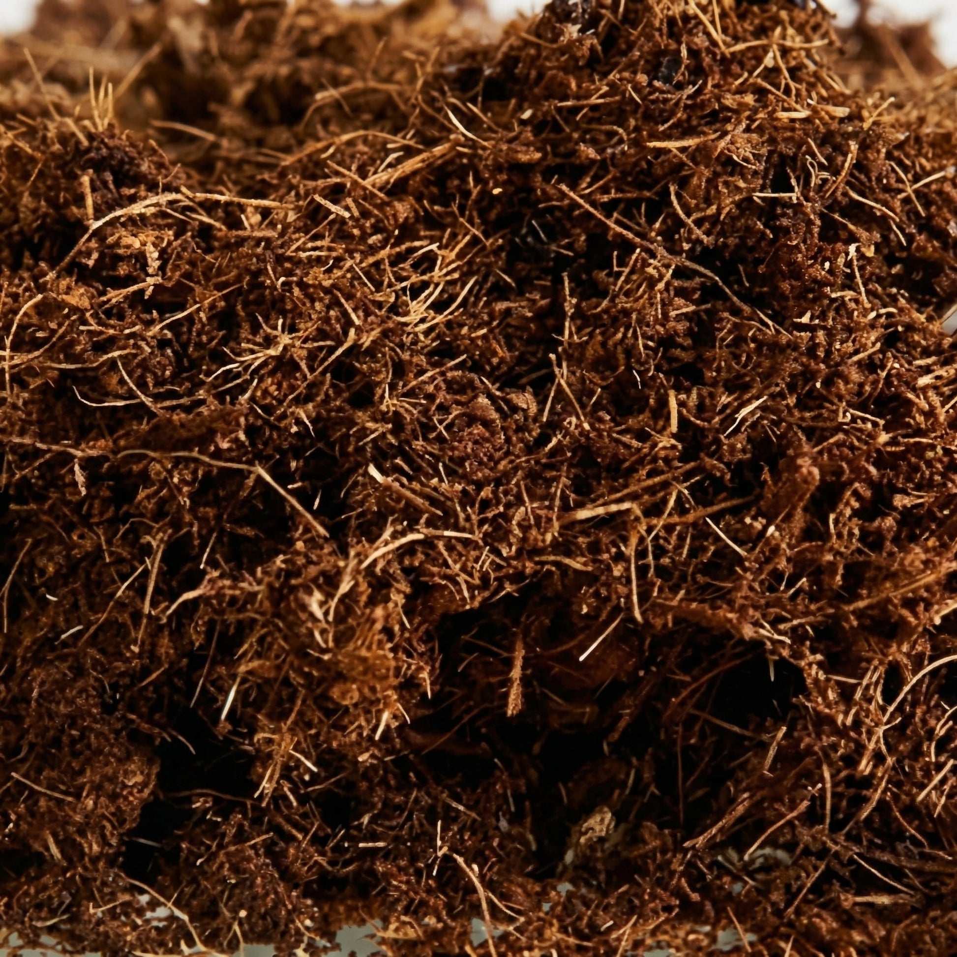 Coco Fibre 1L - substrate