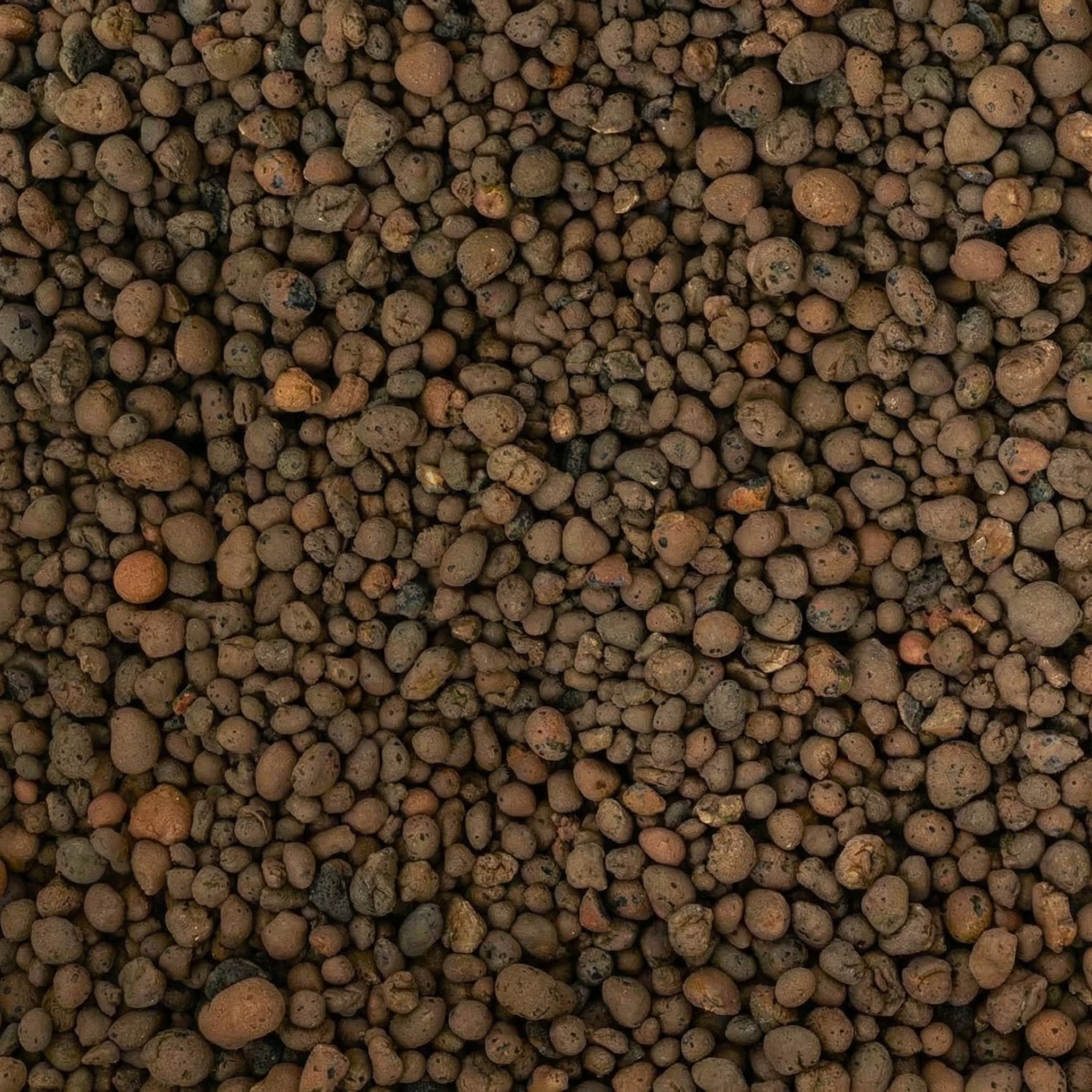 LECA 3L - substrate