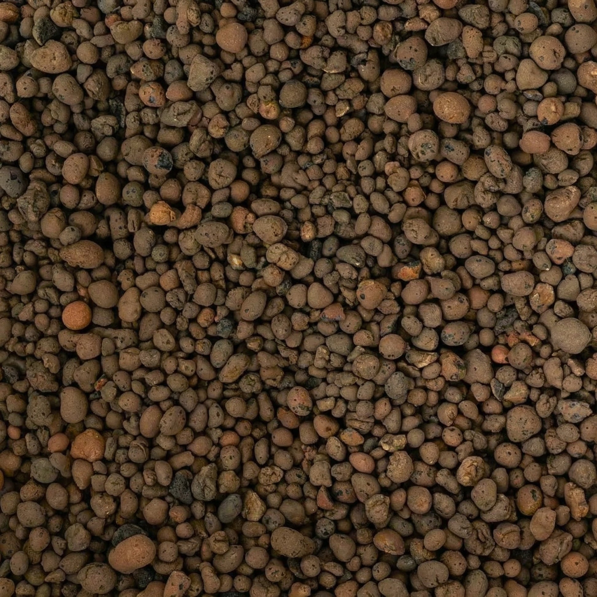 LECA 3L - substrate