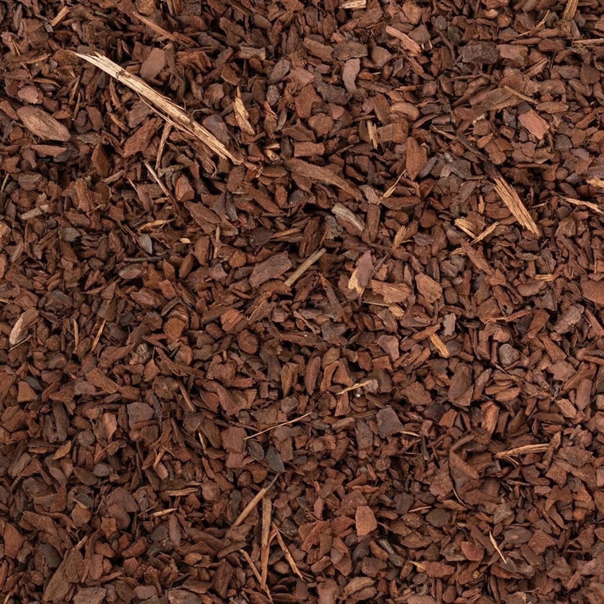 Pine Bark 1L - substrate